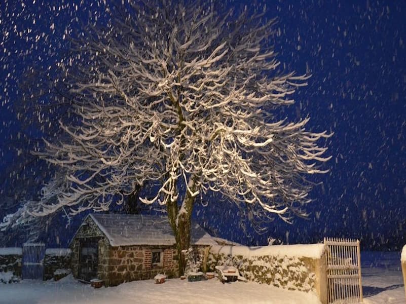 four à pain de la maison